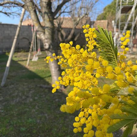 Gite Marydidou Entressen Buitenkant foto